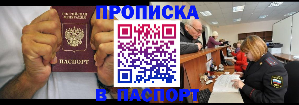 прописка поиск в Бердске